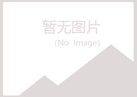 高唐县山柳工程有限公司